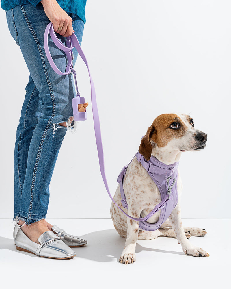 Set de Arnés Transpirable para Perros, Morado 3 Piezas