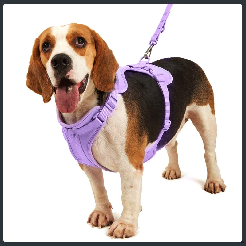 Set de Arnés Transpirable para Perros, Beige 3 Piezas