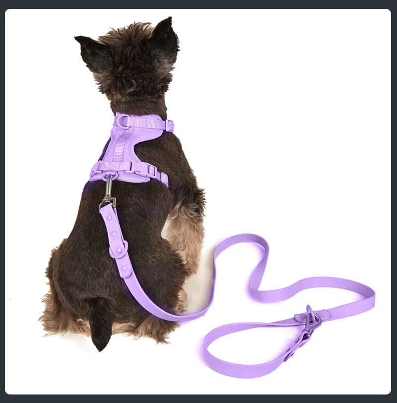 Set de Arnés Transpirable para Perros, Morado 3 Piezas