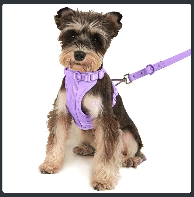 Set de Arnés Transpirable para Perros, Azul 3 Piezas