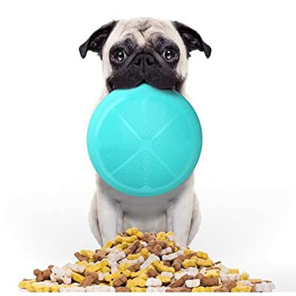 Tazón de Alimentación Lenta para Mascotas