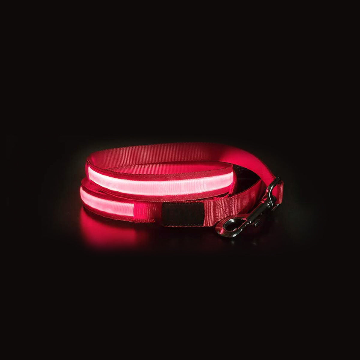 Correas con Luz LED
