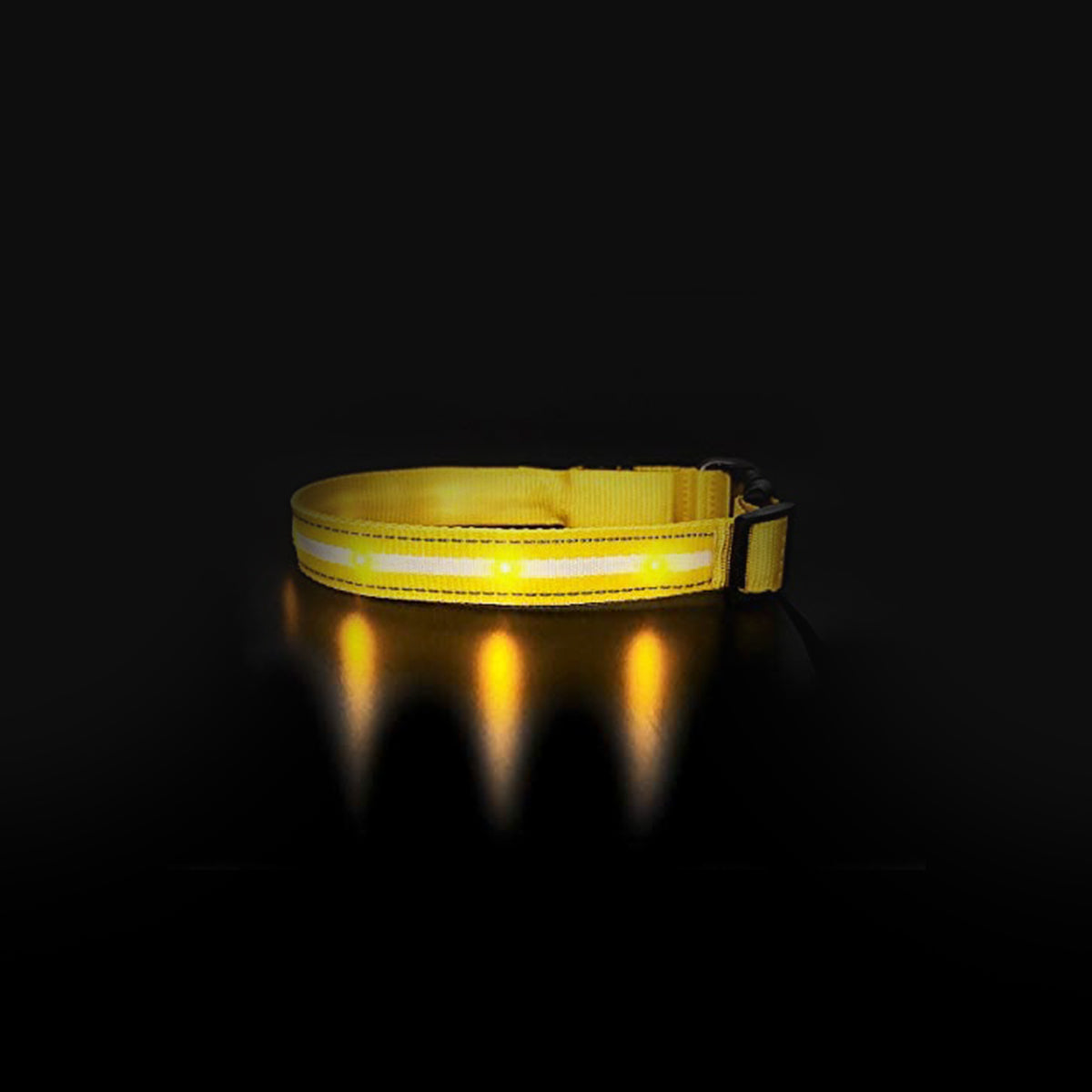 Correas con Luz LED
