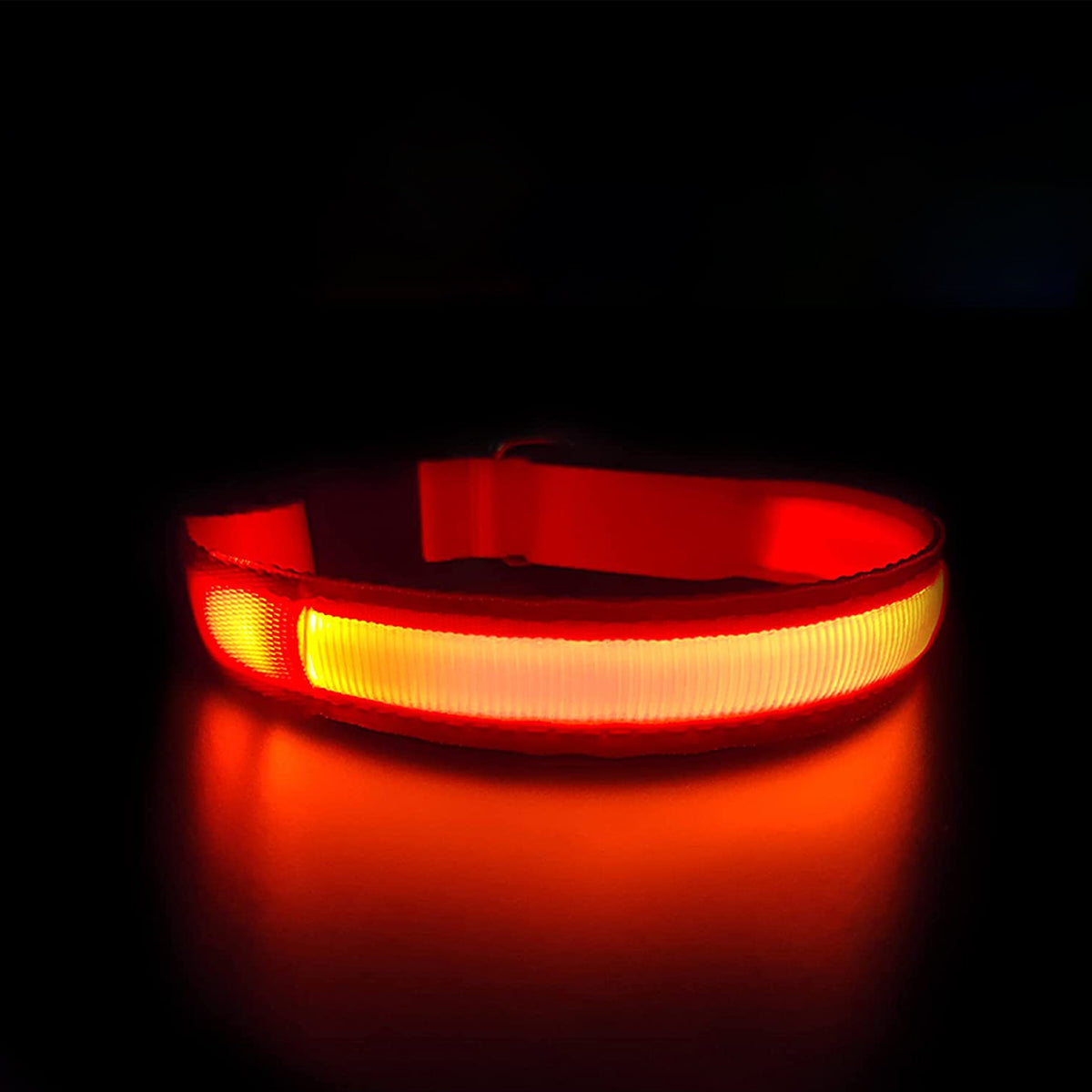 Correas con Luz LED