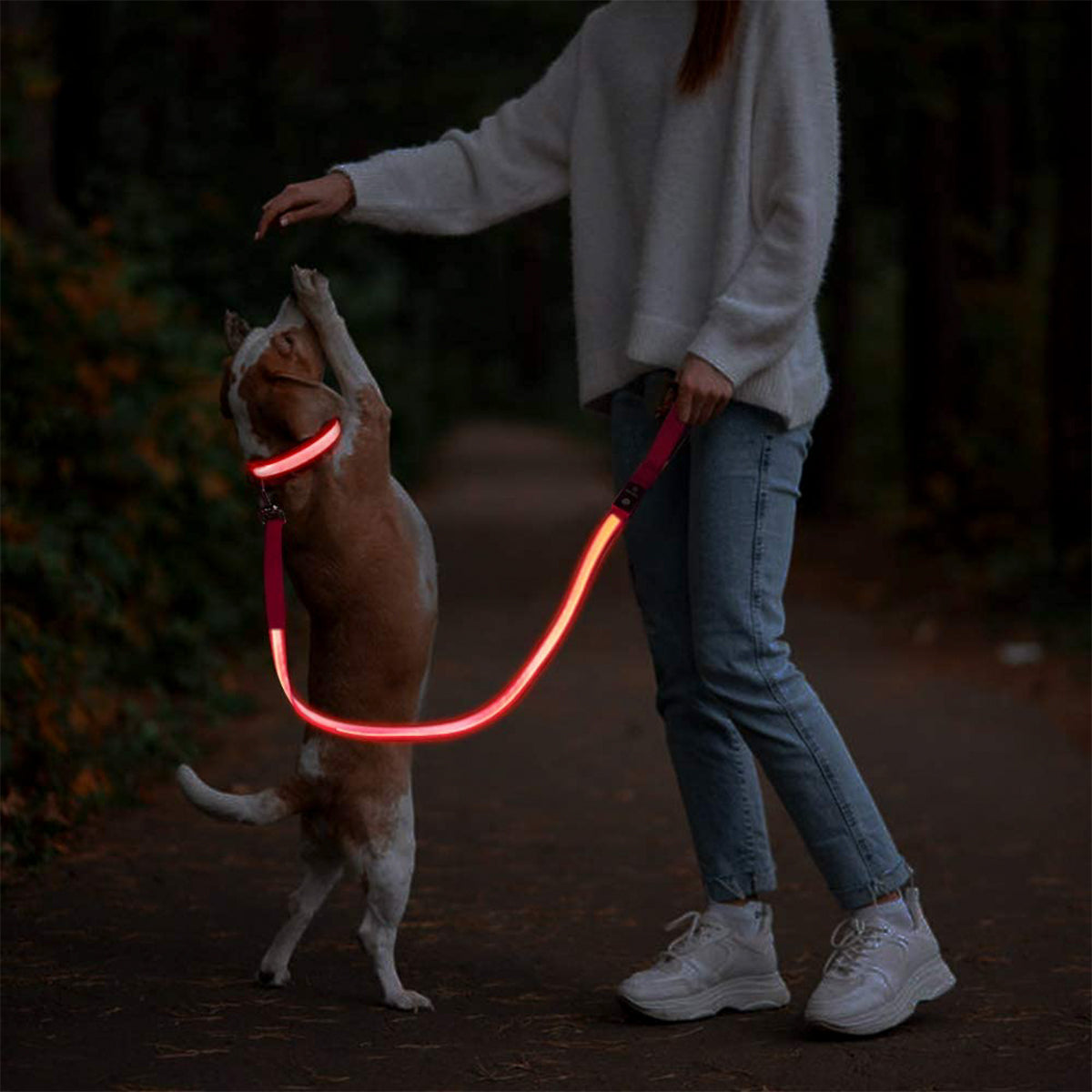 Correas con Luz LED