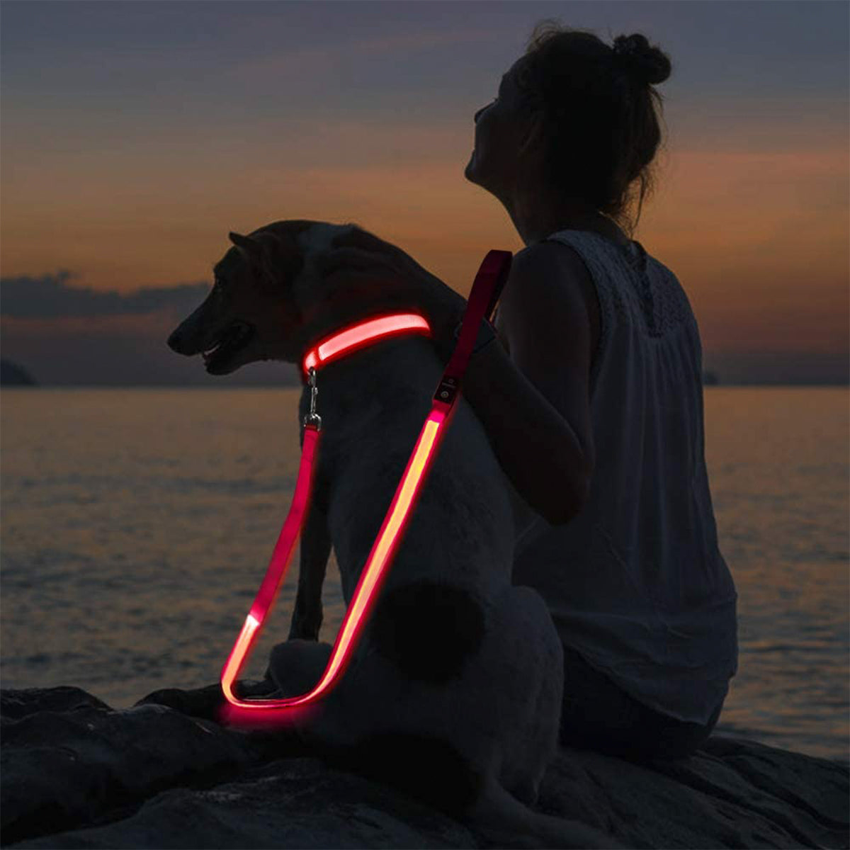 Correas con Luz LED