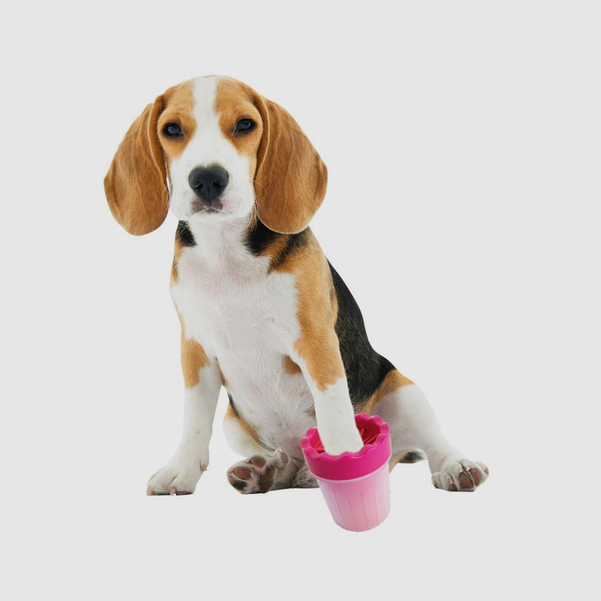 Limpia Patitas para Mascotas